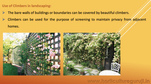 Landscape Use of Tree, Shrubs, Climbers and Annuals PPT - Image 4